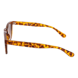 LOW Sunglasses Brown