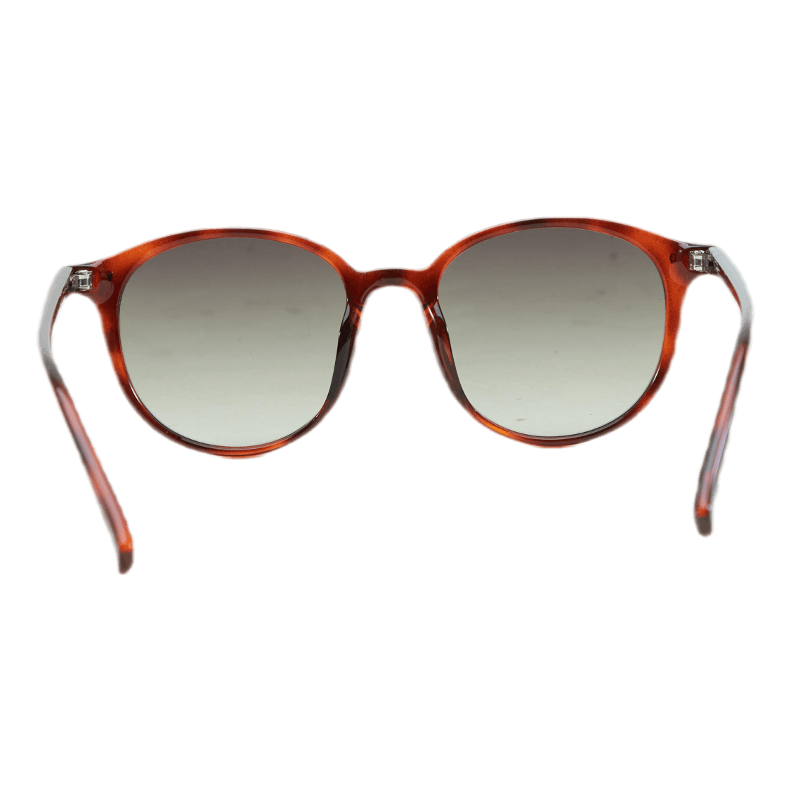 Equinoctial Toffee Tort W/ Khaki Grad